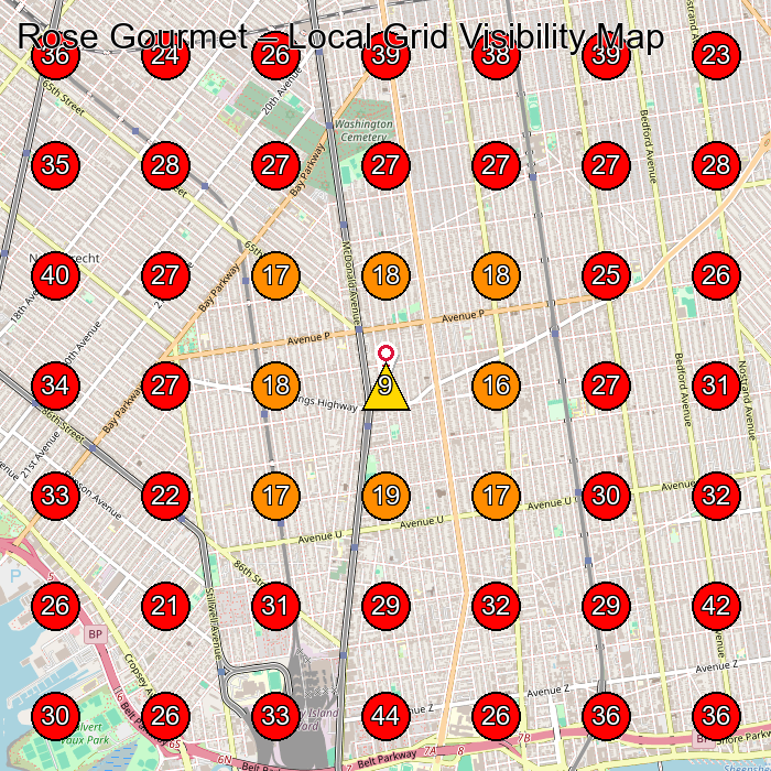 Rose Gourmet GeoGrid visibility map for Frozen Food Manufacturer in New York